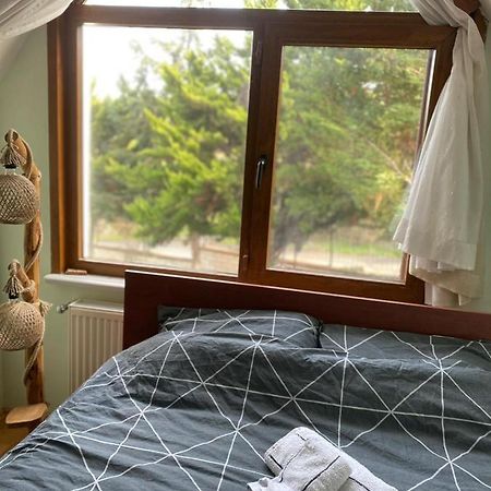 Havalimanina Yakin Orman Icinde Ferah Villa1 Arnavutkoy Ngoại thất bức ảnh
